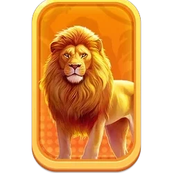 Lion
Safari